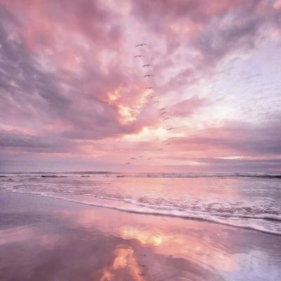 28网站手机app下载截图