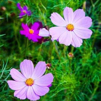 江南体育app下载手机app下载