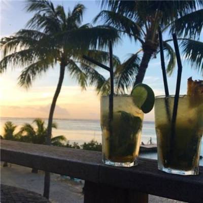 盈彩网下载手机版