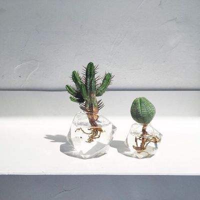 竞猜足球app下载手机版